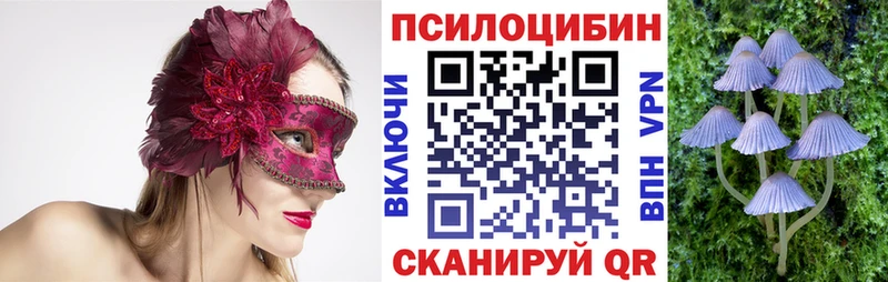 гидра маркетплейс  Динская  Галлюциногенные грибы Magic Shrooms 