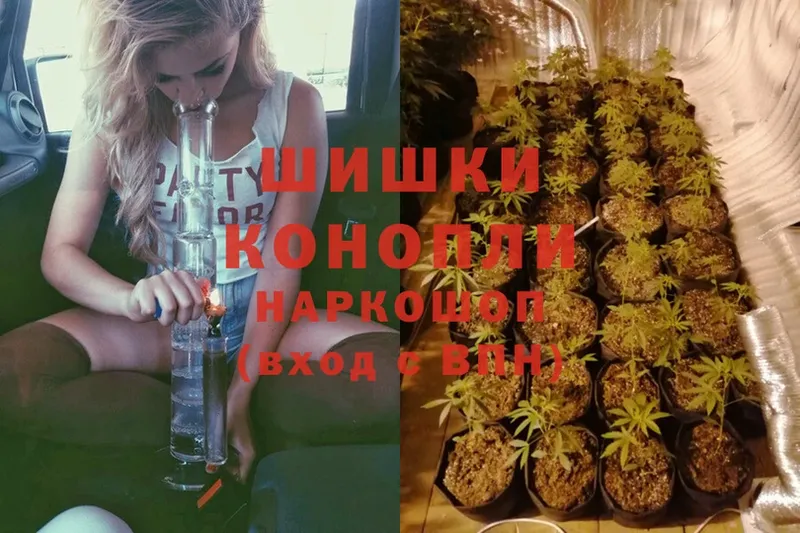 где купить наркоту  Динская  Каннабис OG Kush 